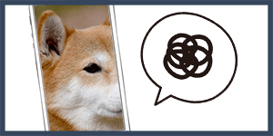 ホームページがモバイルで閲覧するときに正しく表示されているか