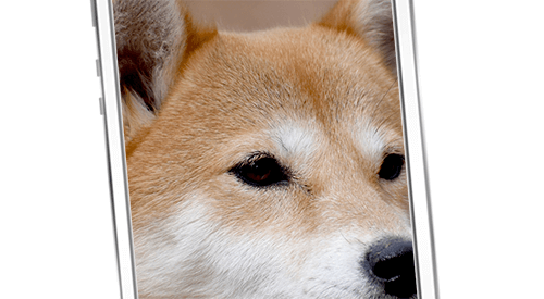 画像が画面からはみ出し、見ることができない