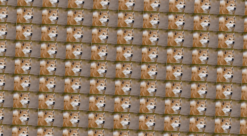 逆に画像が小さくてまったく見えない